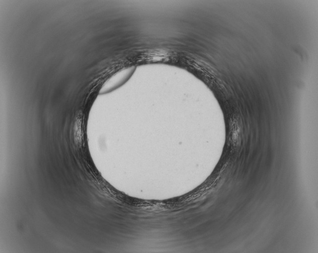 X0000111921442200909071208