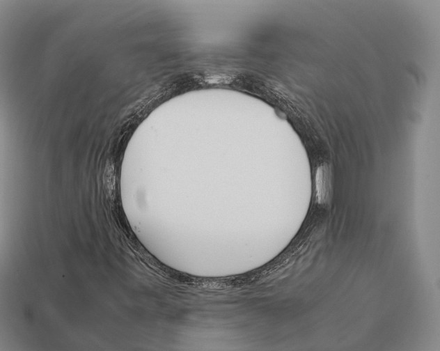 X0000111921443200909071208