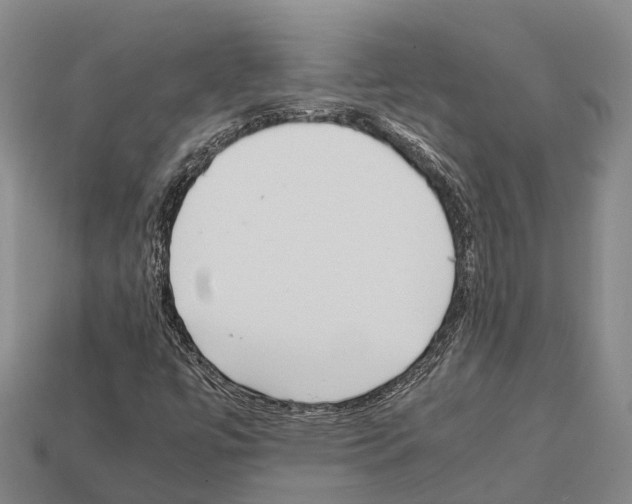 X0000111921447200909071207