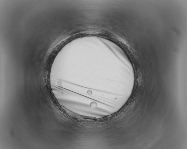 X0000111921448200909071207