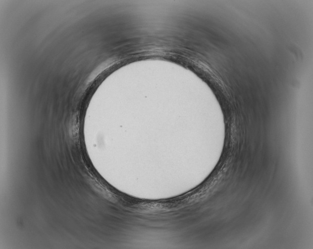 X0000111921450200909071207