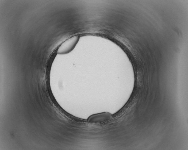 X0000111921452200909071207