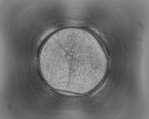 X0000111921453200909071207