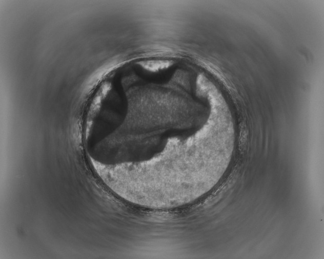 X0000111921455200909071207