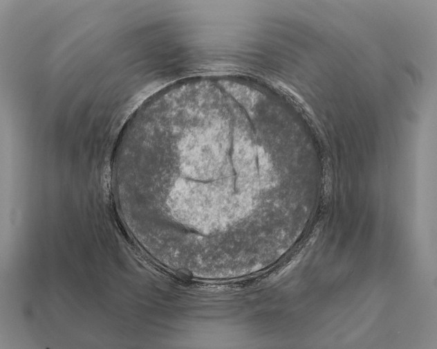 X0000111921457200909071207