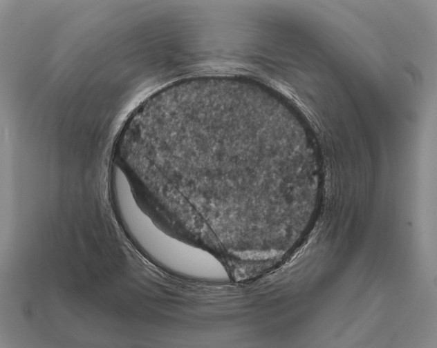 X0000111921459200909071207