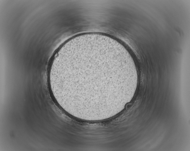 X0000111921460200909071207