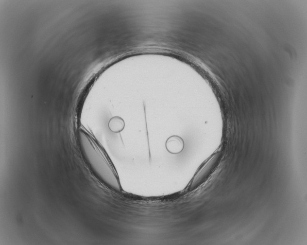 X0000111921461200909071207