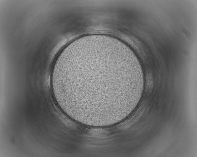 X0000111921462200909071207