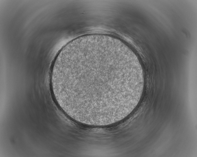 X0000111921463200909071207