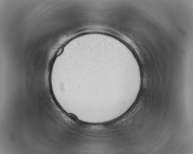 X0000111921464200909071207