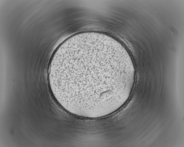 X0000111921465200909071207