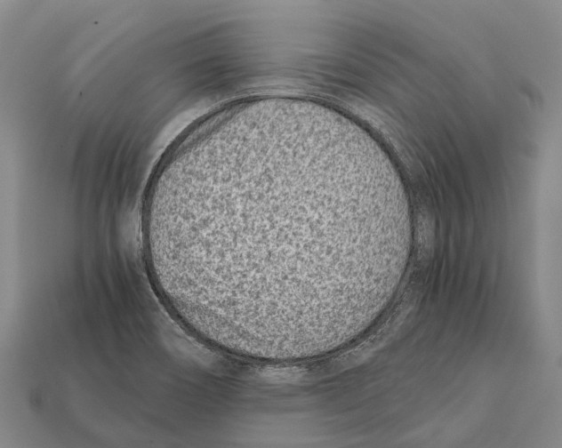 X0000111921466200909071207