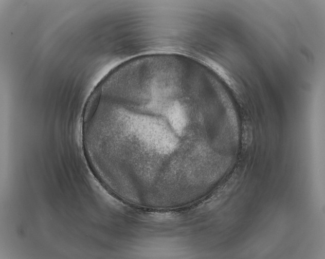 X0000111921468200909071207