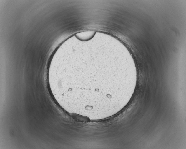 X0000111921469200909071207