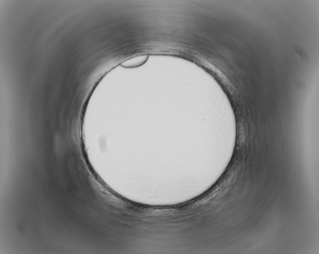 X0000111921471200909071207