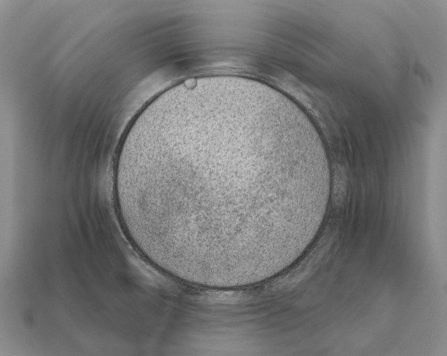 X0000111921474200909071207