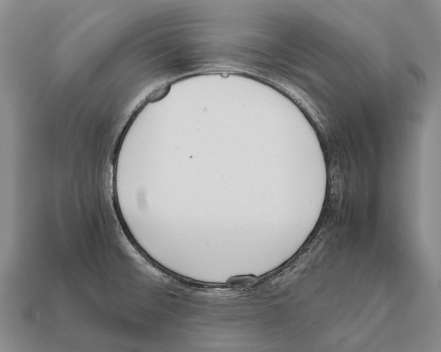 X0000111921476200909071207