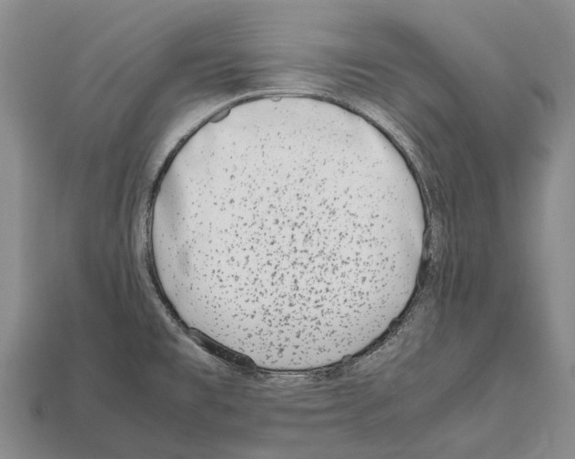 X0000111921477200909071207