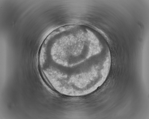 X0000111921479200909071207