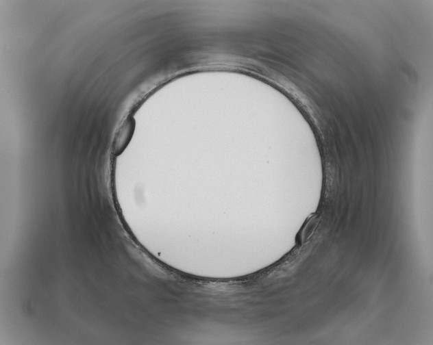 X0000111921480200909071207