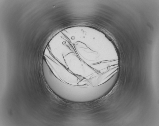 X0000111921481200909071207