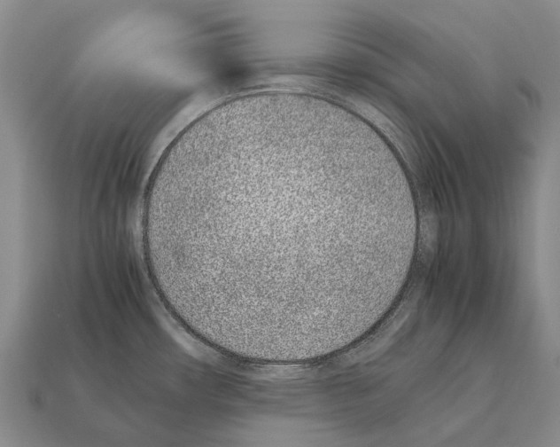 X0000111921482200909071207