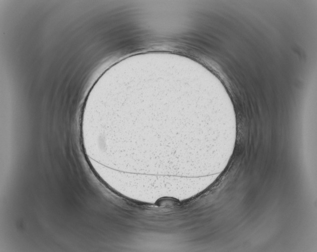 X0000111921483200909071207