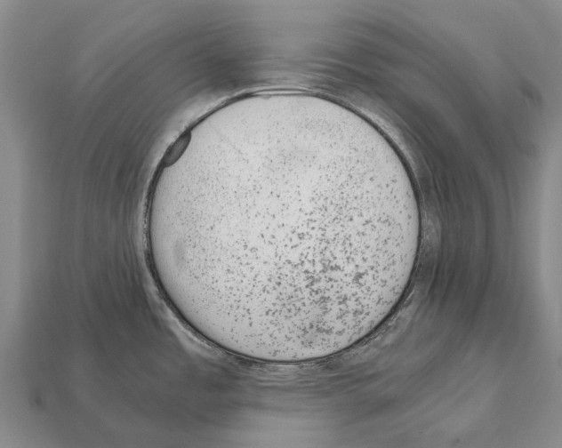 X0000111921485200909071207