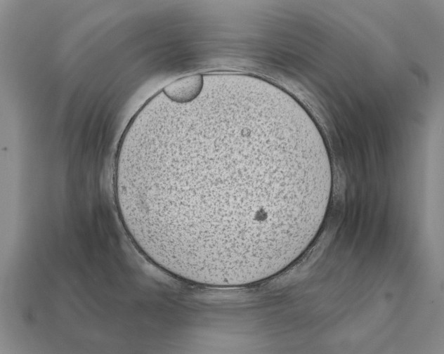 X0000111921486200909071207