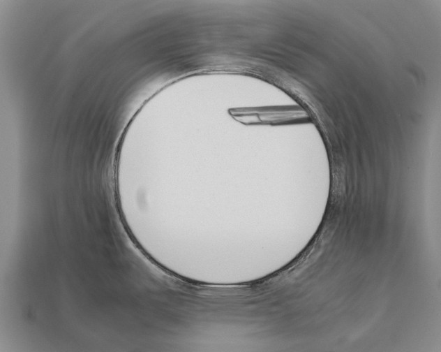 X0000111921487200909071207