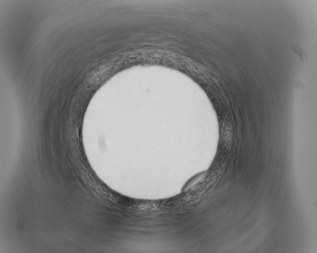 X0000111921489200909071206