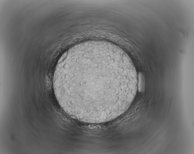 X0000111921491200909071206