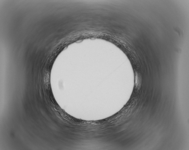 X0000111921492200909071206