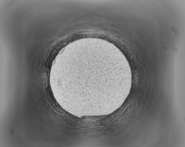 X0000111921493200909071206