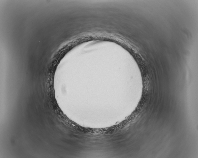 X0000111921494200909071206