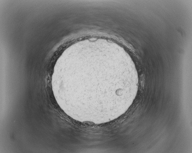 X0000111921495200909071206