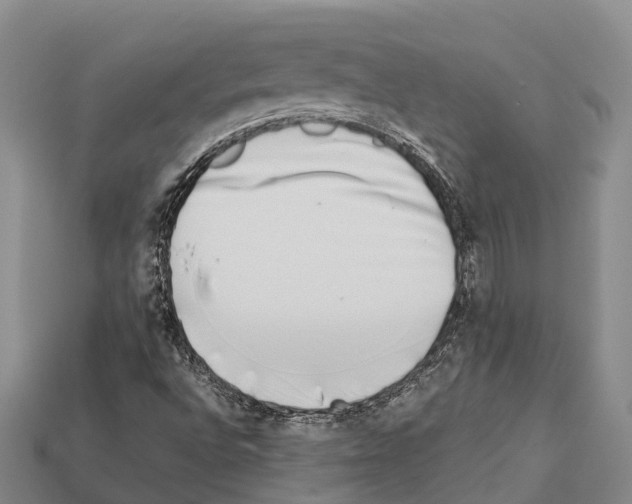 X0000111921496200909071206