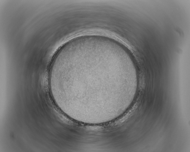 X0000111921498200909071206