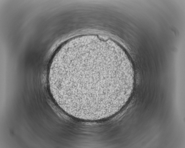 X0000111921499200909071206