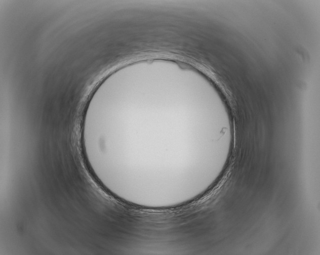 X0000111921500200909071206