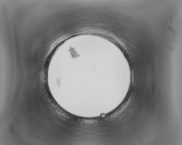 X0000111921501200909071206