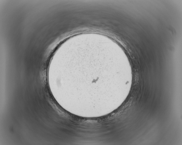 X0000111921503200909071206