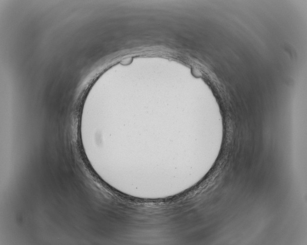 X0000111921504200909071206