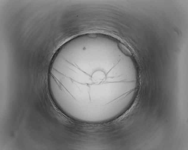 X0000111921505200909071206