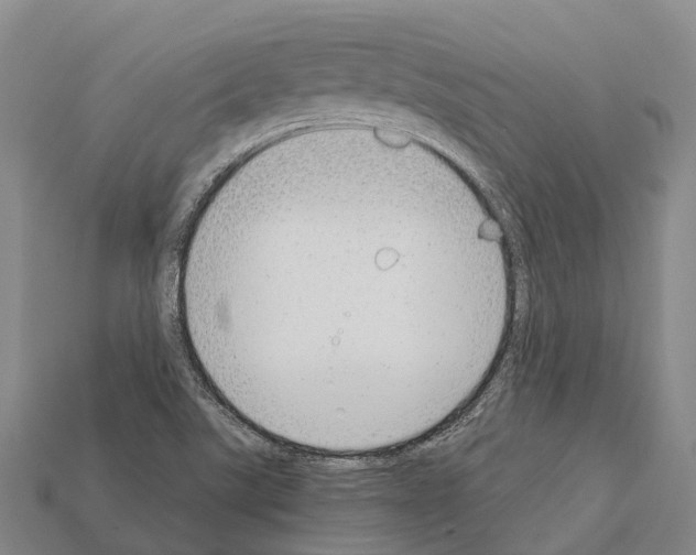 X0000111921507200909071206