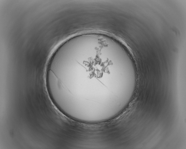 X0000111921508200909071206