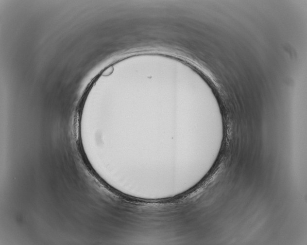 X0000111921510200909071206