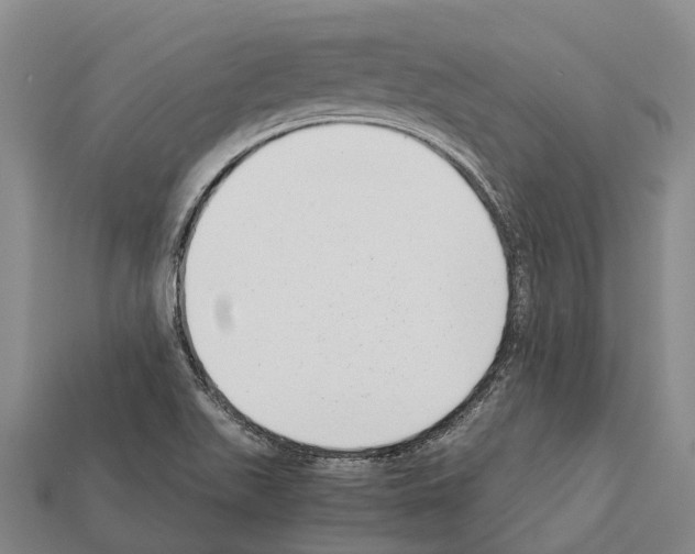 X0000111921511200909071206