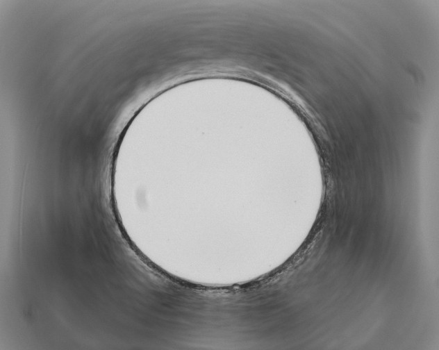 X0000111921512200909071206